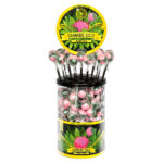 Cannabis Lollipops Mango Kush (100pcs/display)