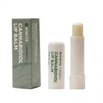 Enecta 50mg CBD Lipbalm (5.5ml)