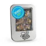 Mush Magic Tampanensis Magic Truffles 15g