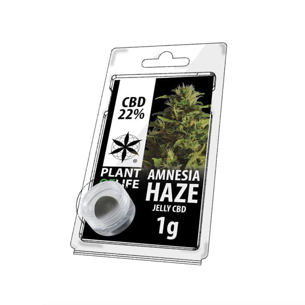 Plant of Life CBD Jelly 22% Amnesia Haze (1g)