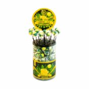 Cannabis Lollipops Lemon Haze (100pcs/display)