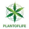 plant-of-life-cbd-oil