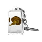 Mushroom Acrylic Transparent Keychain Cube