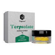 Happease Extracts Jungle Spirit Terpsolate 97% CBD + Terpenes (1g)