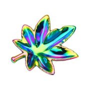 Champ High Leaf Glass Ashtrays Mix Colors (6pcs/display)