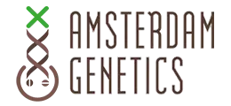Amsterdam Genetics - Kosher Choco Kush (5 seeds pack)