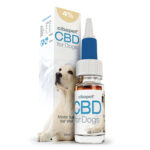 Cibdol CBD Oil for Dogs 4% (10ml)