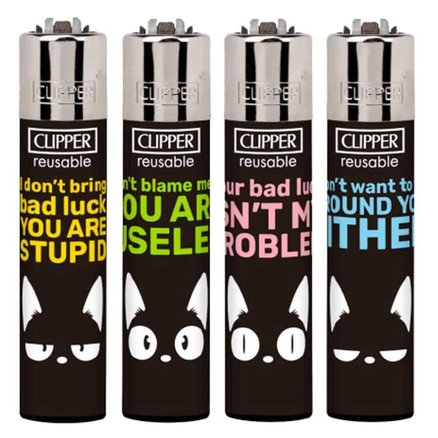 Clipper Lighters Not My Fault (24pcs/display)