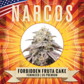 Narcos Forbidden Fruta Cake Feminized (3 seeds pack)