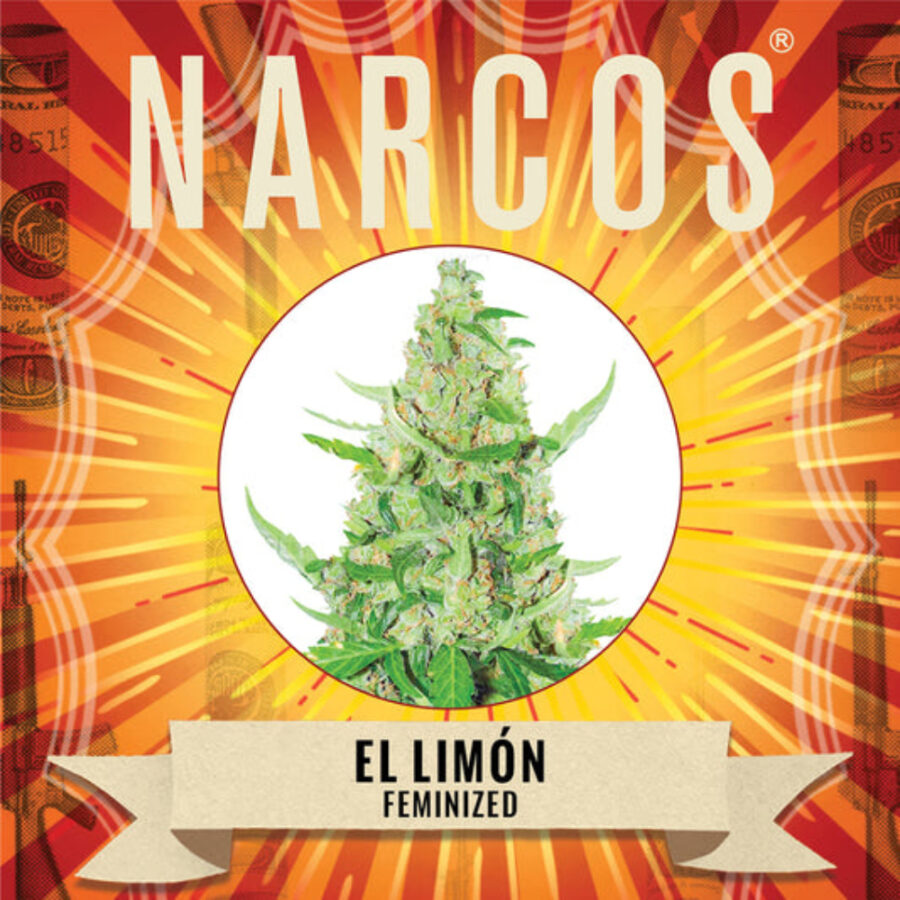 Narcos El Limón Feminized (3 seeds pack)