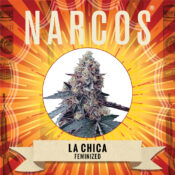 Narcos La Chica Feminized (3 seeds pack)