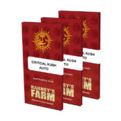 Barney's Farm Critical Kush Auto (5 seeds pack)