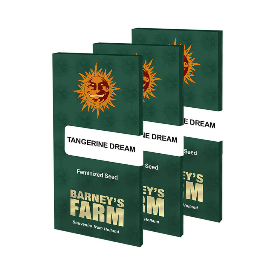 Barney's Farm Tangerine Dream (5 seeds pack)
