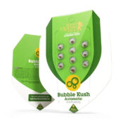 Royal Queen Seeds Bubble Kush autoflowering cannabis seeds (3 seeds pack)