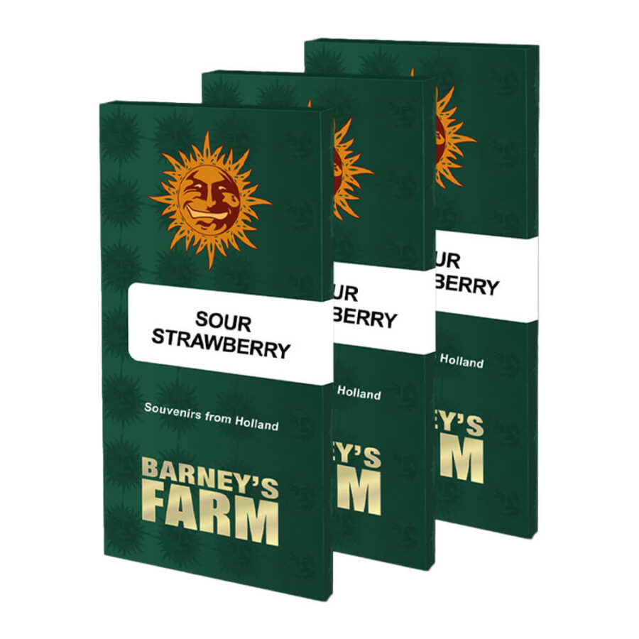 Barney's Farm Sour Strawberry feminized cannabis seeds (3 seeds pack)