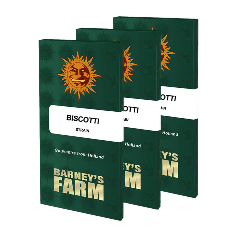 Barney's Farm Biscotti feminized cannabis seeds (3 seeds pack)