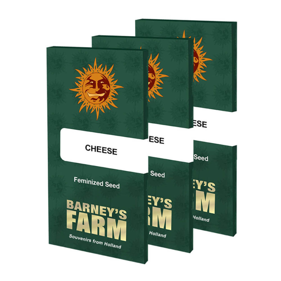 Barney's Farm Cheese feminized cannabis seeds (3 seeds pack)