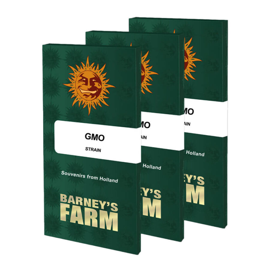 Barney's Farm GMO feminized cannabis seeds (3 seeds pack)
