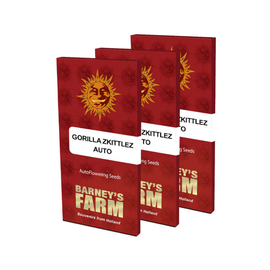 Barney's Farm Gorilla Zkittlez Auto autoflowering cannabis seeds (5 seeds pack)