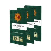 Barney's Farm Lemon Drizzle feminized cannabis seeds (5 seeds pack)