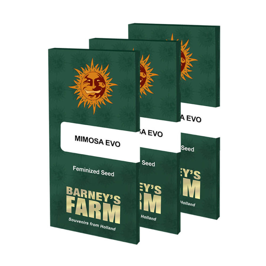 Barney's Farm Mimosa EVO feminized cannabis seeds (3 seeds pack)