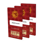 Barney's Farm Runtz Auto autoflowering cannabis seeds (3 seeds pack)