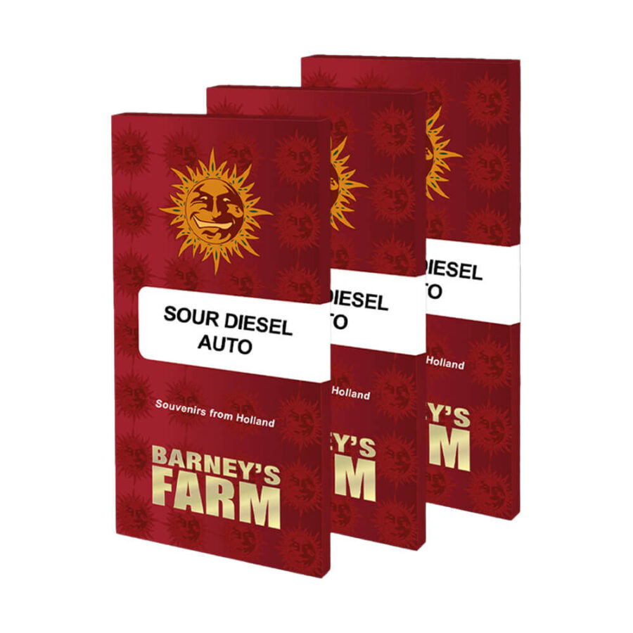 Barney's Farm Sour Diesel Auto autoflowering cannabis seeds (3 seeds pack)