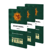 Barney's Farm Sour Diesel Auto autoflowering cannabis seeds (5 seeds pack)