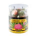 Cannabis Lollipops Bubblegum Flavour Giftbox 10pcs (12packs/masterbox)