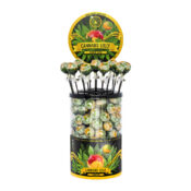 Cannabis Lollipops Mango Kush (100pcs/display)