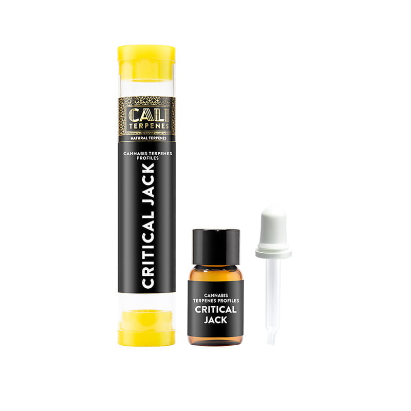 terpenos-critical-jack terpenos critical jack