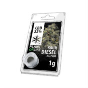 Plant of Life 22% CBD Jelly Sour Diesel (1g)