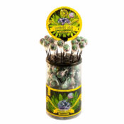 Cannabis lollipops Blueberry Haze THC free (100pezzi/display)