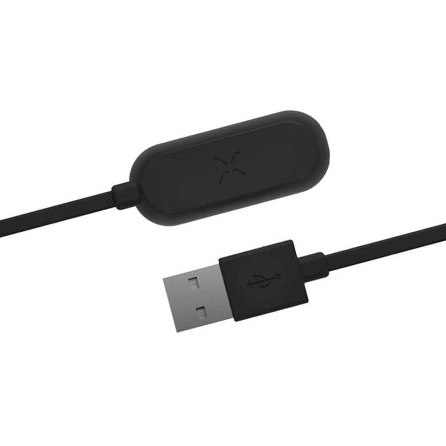PAX Caricatore Mini USB