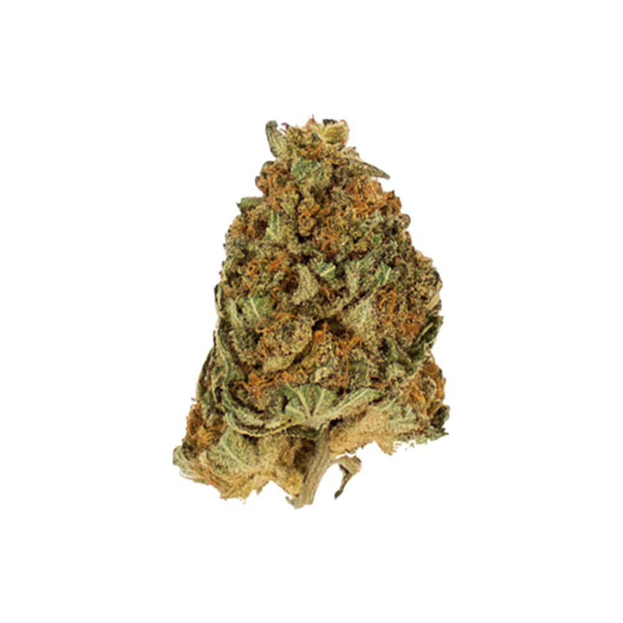 Royal Queen Seeds Northern Light semi di cannabis femminizzati (confezione 5 semi)