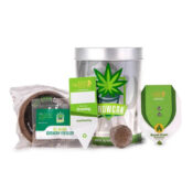 Royal Queen Seeds IGrowCan Kit di Coltivazione Apple Fritter