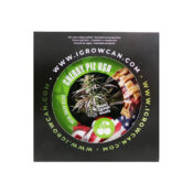 Royal Queen Seeds IGrowCan Kit di Coltivazione Cherry Pie USA