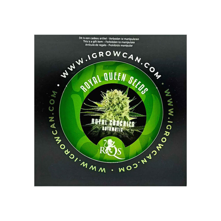 Royal Queen Seeds IGrowCan Kit di Coltivazione Royal Cookies