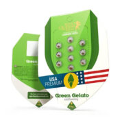 Royal Queen Seeds Green Gelato Auto semi di cannabis autofiorenti (confezione 5 semi)