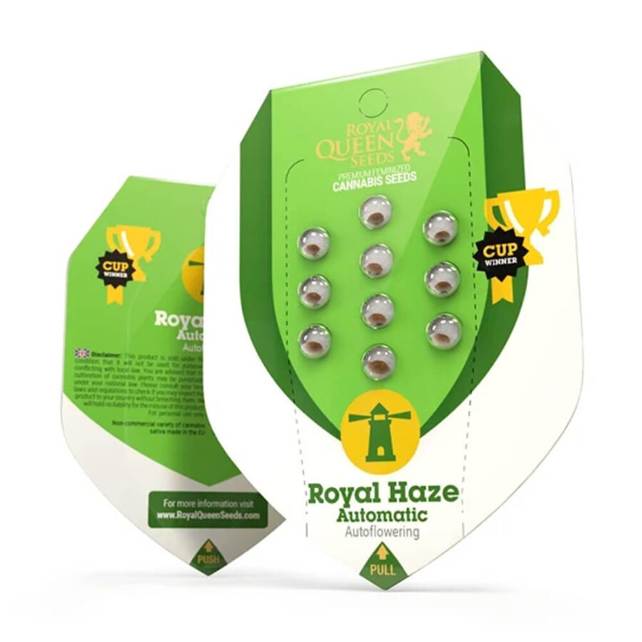 Royal Queen Seeds Royal Haze semi di cannabis autofiorenti (confezione 3 semi)