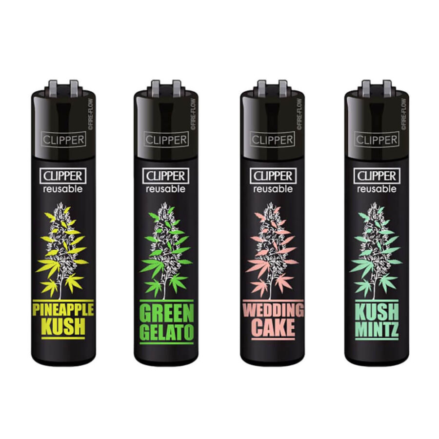 Clipper Lighter Plantz #6 (24pezzi/display)