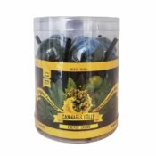 Cannabis Sucettes Skunk Flavour Boite Cadeau 10pcs (24paquets/masterbox)