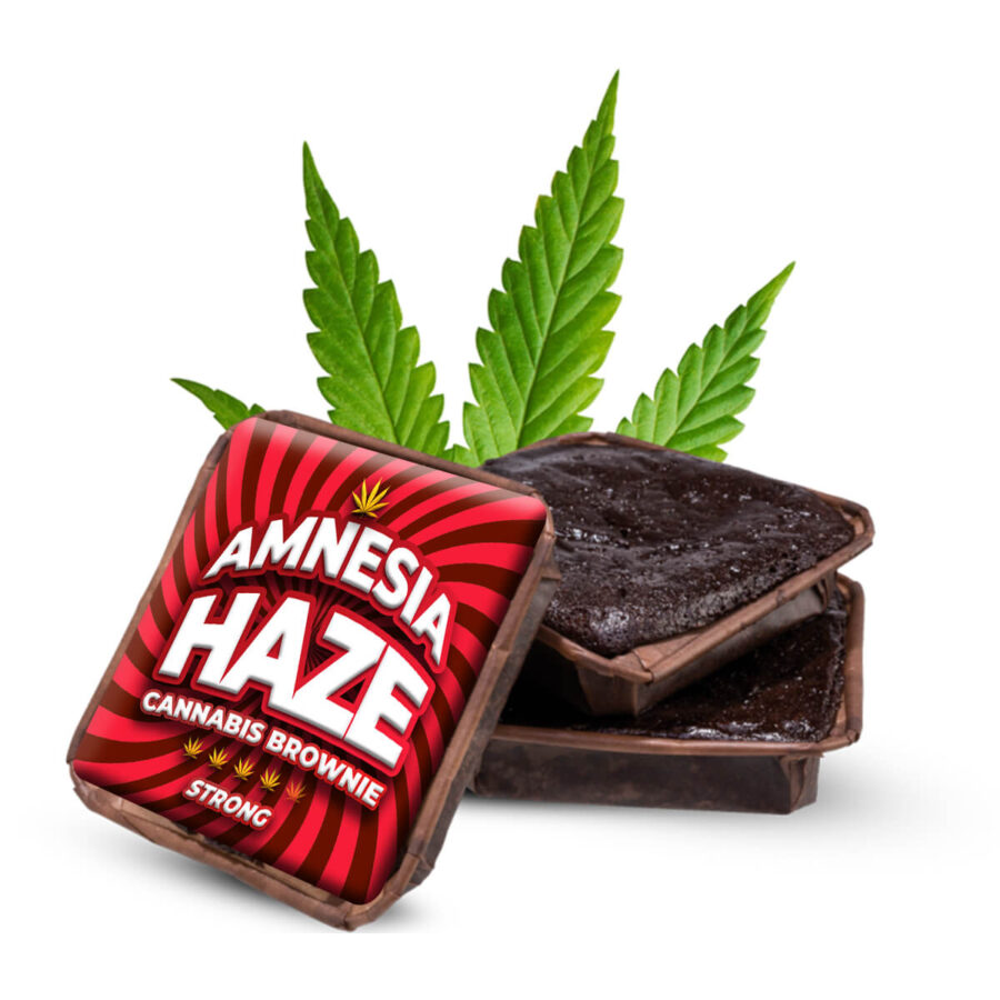 Amnesia Haze Cannabis Brownies (40pcs/boîte)