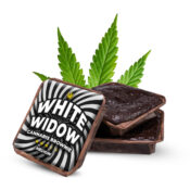 White Widow cannabis brownies (40pcs/boite)