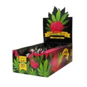 Cannabis sucettes boite Bubblegum (70pcs/présentoir)