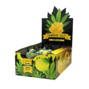 Cannabis sucettes boite Lemon Haze (70pcs/présentoir)
