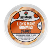 Mushroom Bakehouse Lion's Mane Bonbons Orange 200mg Extrait de Champignon
