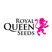 Royal Queen Seeds Pink Runtz USA IGrowCan Kit de Culture