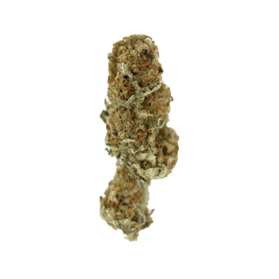 Royal Queen Seeds Euphoria CBD graines de cannabis (paquet de 5 graines)