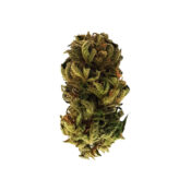 Royal Queen Seeds Royal Kush Auto graines de cannabis autofloraison (paquet de 3 graines)